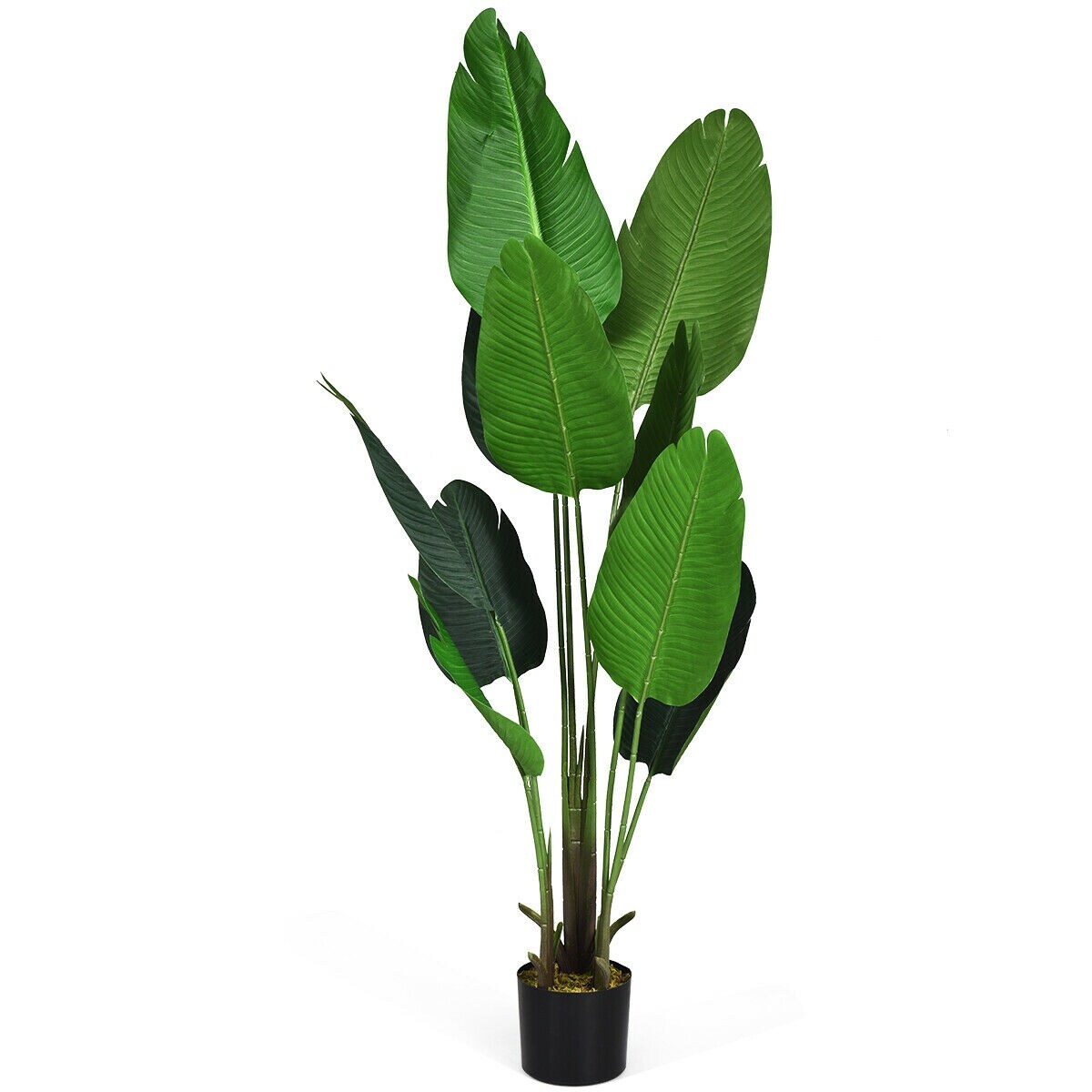 5 Ft Artificial Decorative Tropical Indoor Outdoor Tree Overstock 30751399
