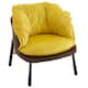 Option Yellow-Brown