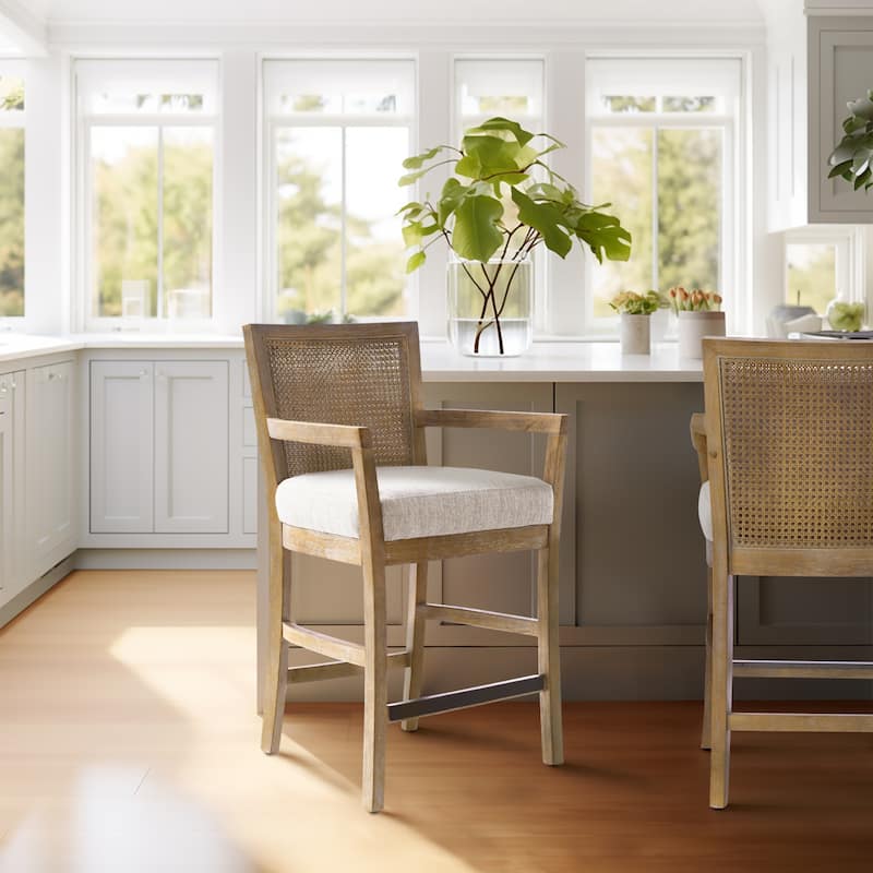 Madison Park Blaine Cream/Reclaimed Natural Cane Back Counter Stool - N/A