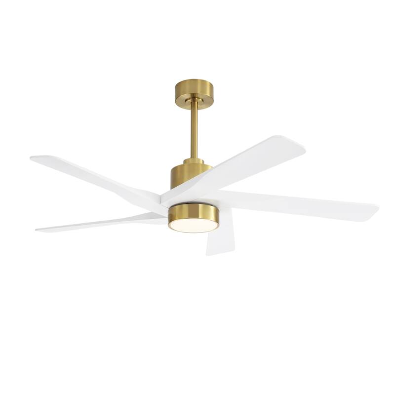 WINGBO 54" and 64" 5 ABS Blades DC Motor Indoor Ceiling Fan with Light & Remote