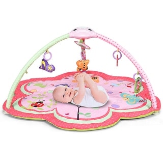 pink activity gym