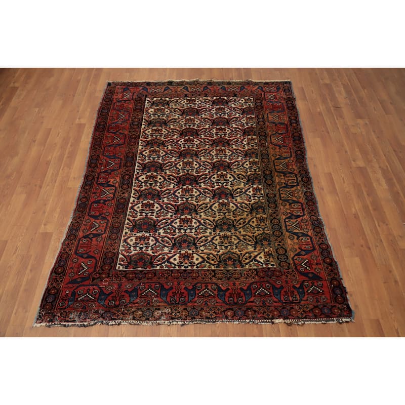 Hand Knotted Oriental 100% Wool Carpet Traditional Floral Beige & Ivories Bidjar Area Rug - 6' 11'' X 5' 0''
