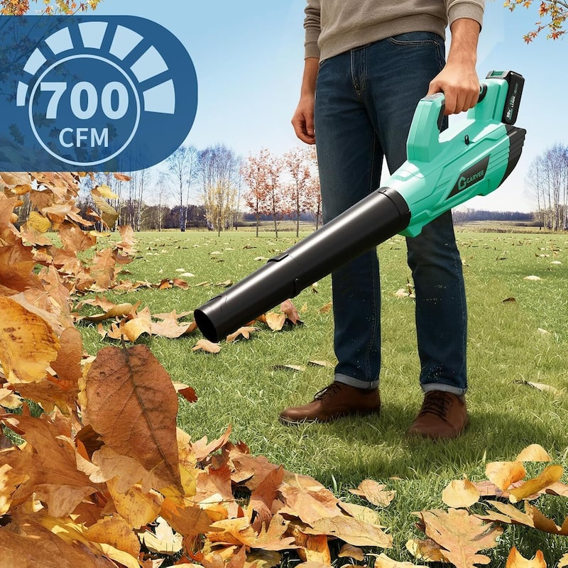 2 Speed 700CFM 250MPH Cordless 20V Electric Leaf Blower for Lawn Care, Blowing Leaves, Patio, Dust - N/A