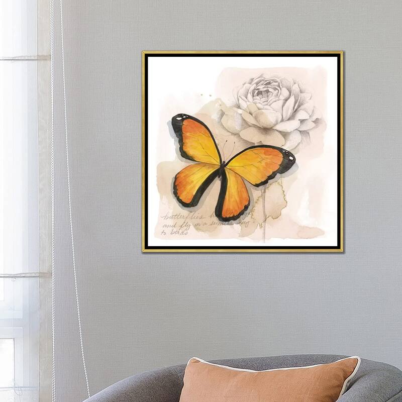 iCanvas "Shadow Box Butterfly IV" by Grace Popp Framed Canvas Print