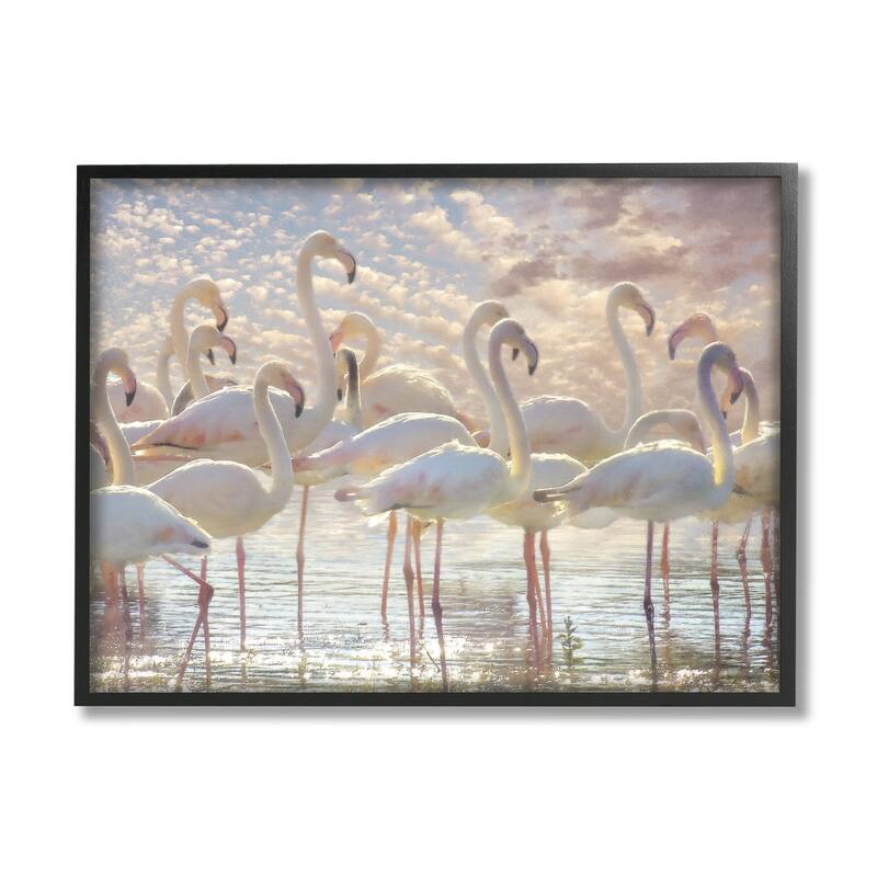 Stupell Pretty Pink White Flamingos Standing Sparkling Water Clouds Framed Wall Art - Multi-Color