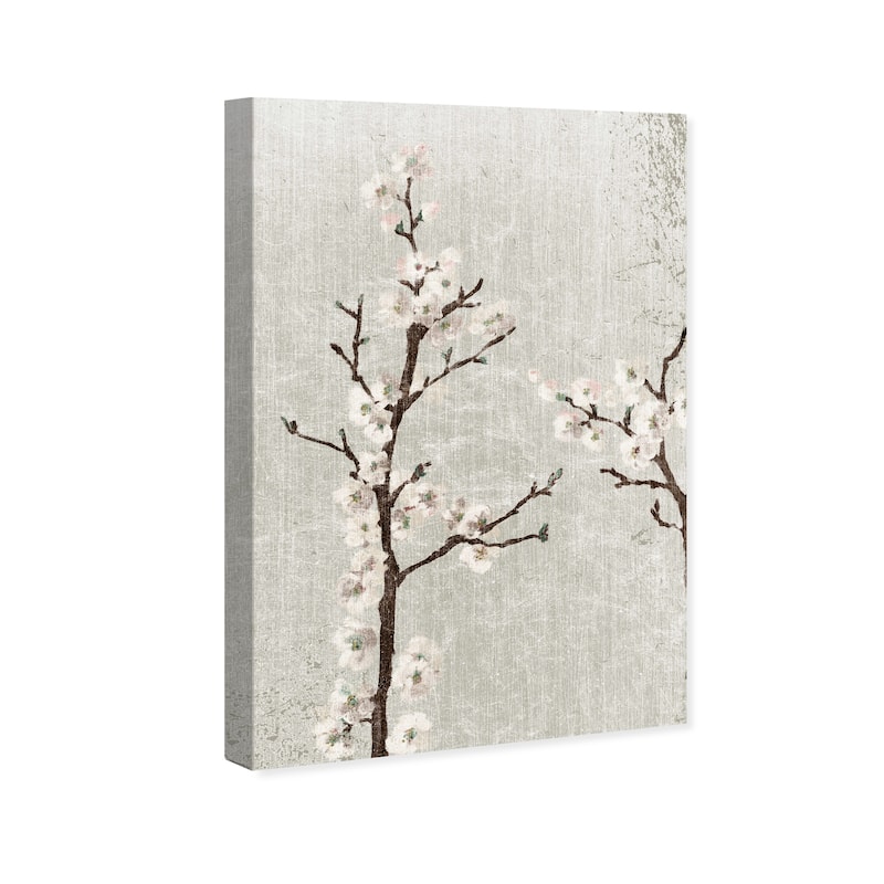 Wynwood Studio Canvas Floral and Botanical Like Cotton White and Global Wall Art Canvas Print