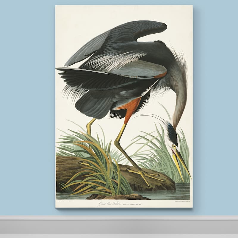Pl 211 Great Blue Heron-Premium Gallery Wrapped Canvas
