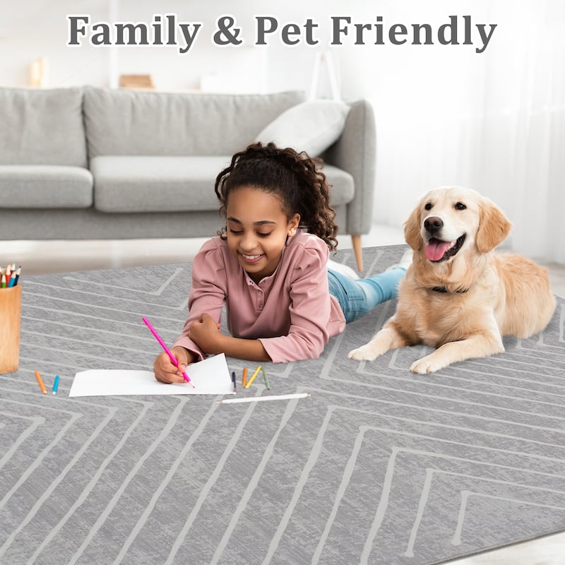 Modern Geometric Area Rug Farmhouse Stripe Area Rug Living Room Stain Resistant Non-Slip Carpet for Bedroom Dining Room