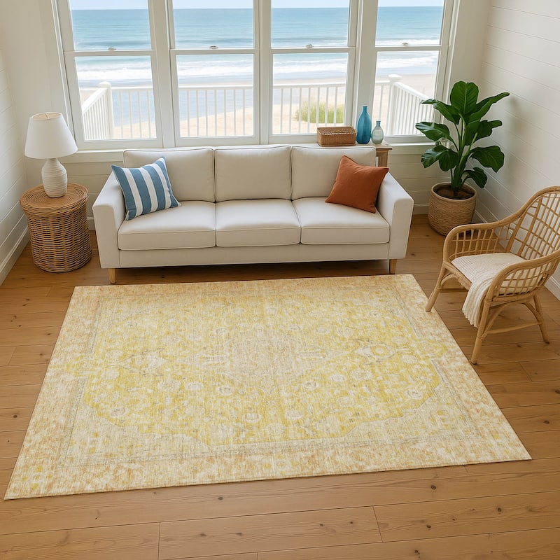 Premium Washable Super Soft Vintage Traditional Mayfield Rug