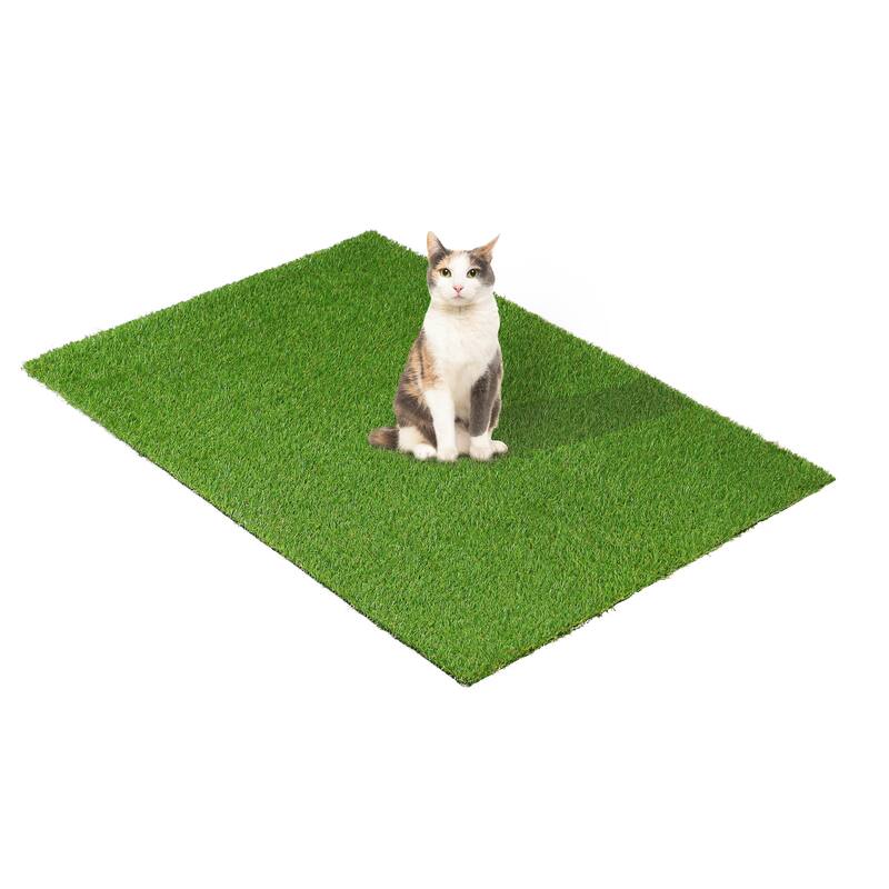 Superior Artificial Grass Lawn Turf Indoor/ Outdoor Area Rug - 3' x 5'
