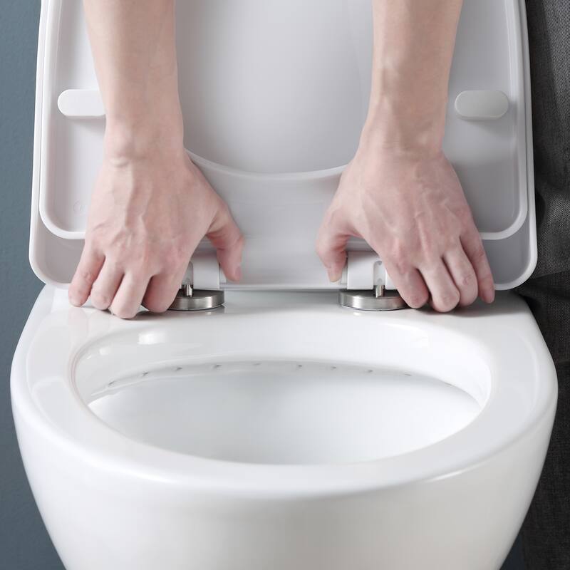 Beverly 2-Piece 1.1/1.6 GPF Dual Flush Elongated Toilet in White, Seat Included