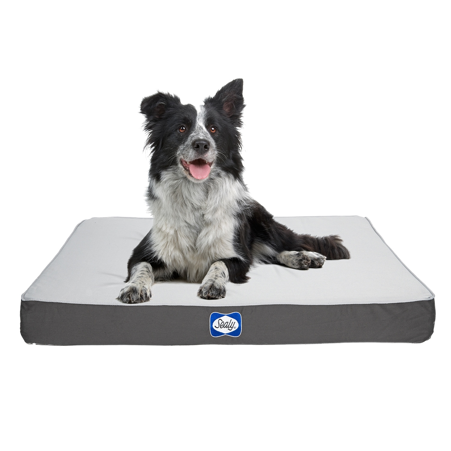 Sealy Dog Bed Defender Indoor Outdoor Water Resistant Bed Bed Bath Beyond 32297613