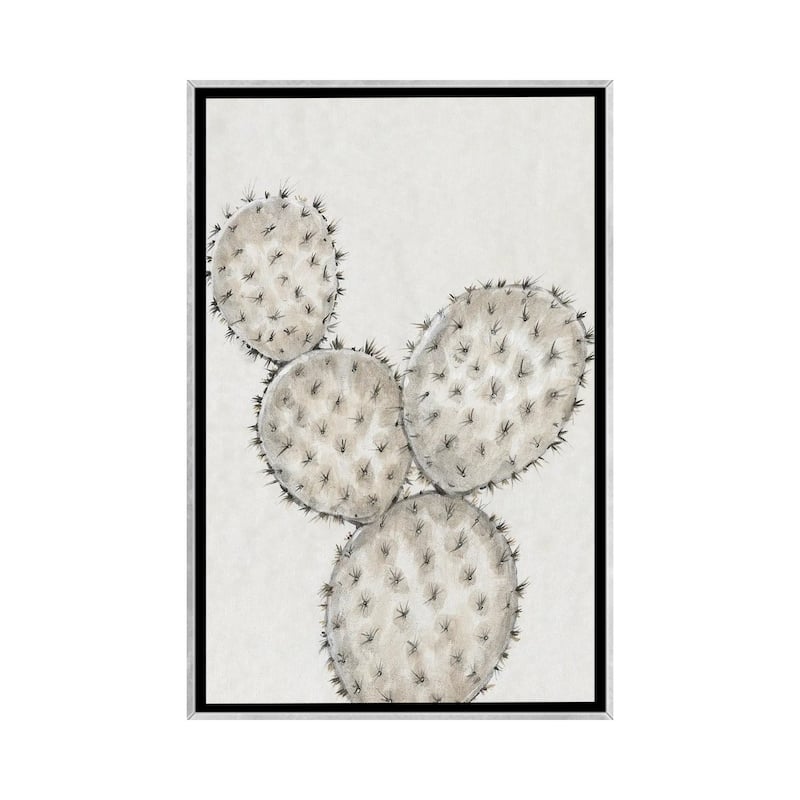 iCanvas "Cactus Study IV" by Tim OToole Framed