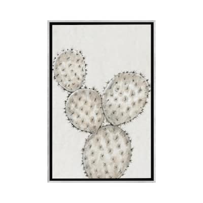 iCanvas "Cactus Study IV" by Tim OToole Framed