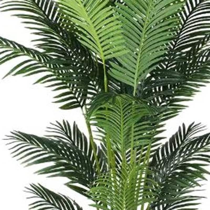HomeRoots 73" Green Artificial Palm Tree in a Black Pot - 7.48 in. x 72.83 in. x 7.48 in.