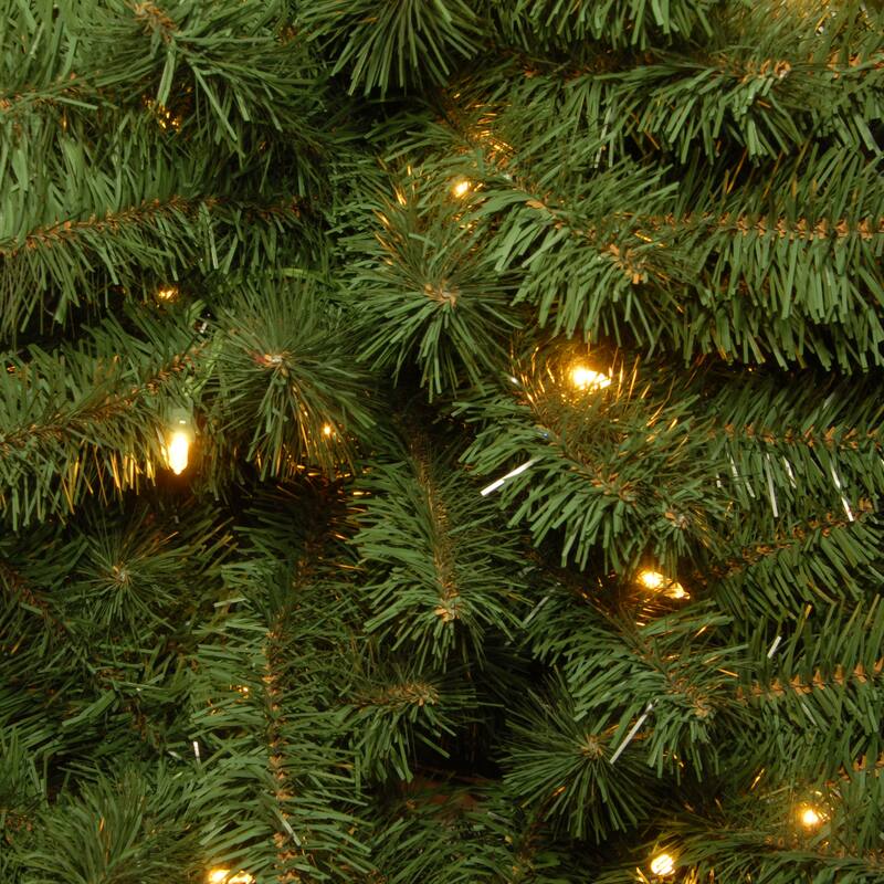 National Tree Company 6 ft. Kincaid Spruce Tree with Clear Lights