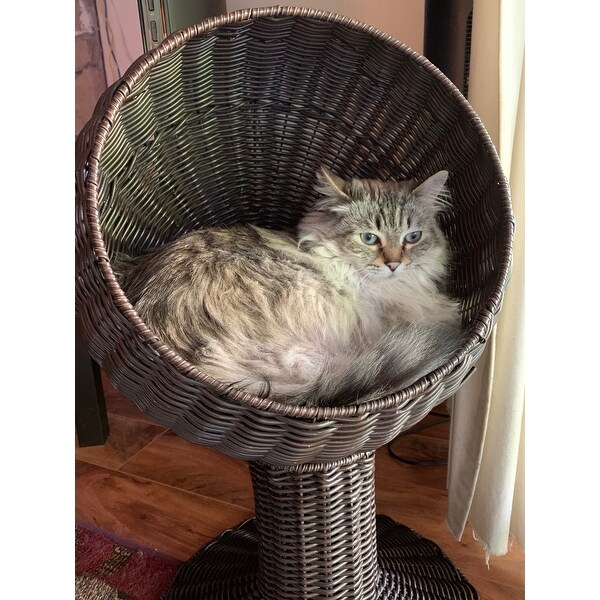 Top Product Reviews For Pawhut Hooded Rattan Wicker Elevated Cat