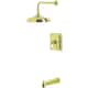Option Polished Brass