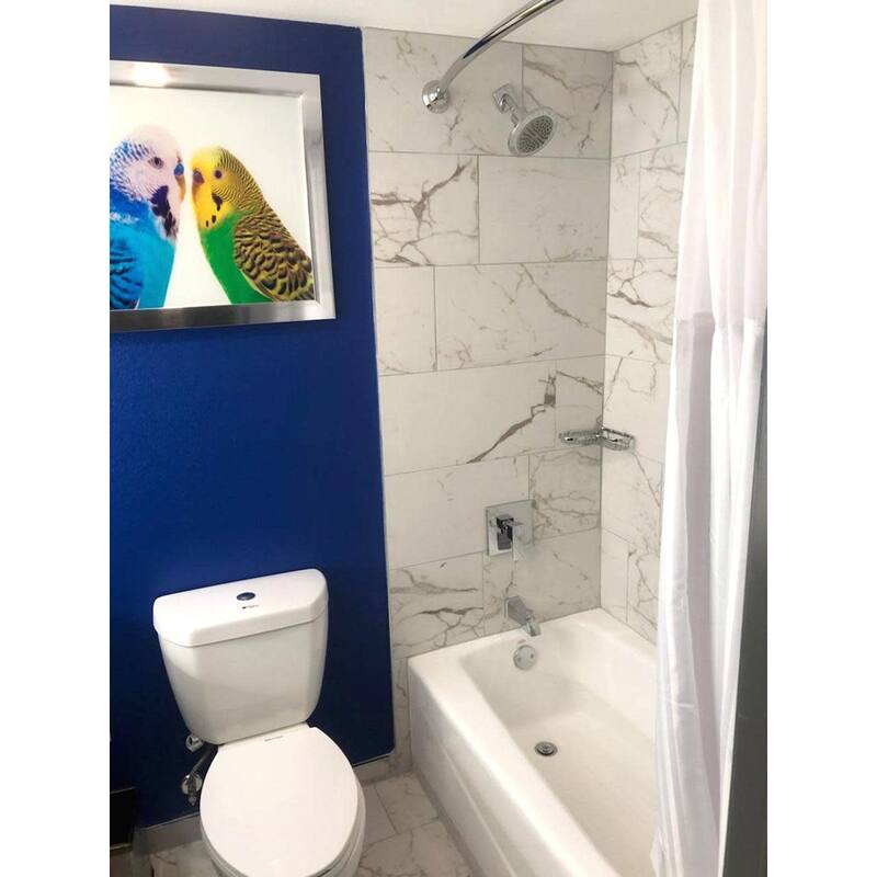 Ackland AKNPTLEG12X24M-PL Legacy - 12" x 24" Ceramic Solid Tile - - Arclina