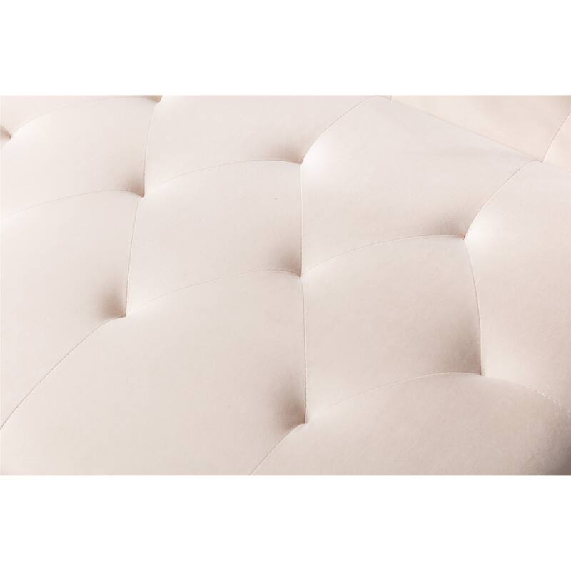 Chaise Lounge Chair /Accent Chair with Ottoman