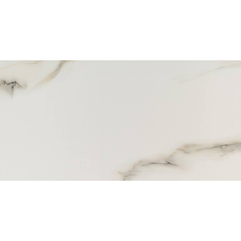 Ackland AKNPTAZI12X24P-CA Azira - 12" x 24" Porcelain Solid Floor Tile - Nevara