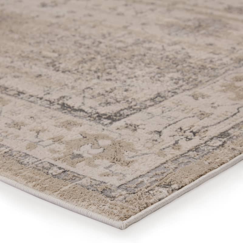 Kaila Oriental Gray Area Rug