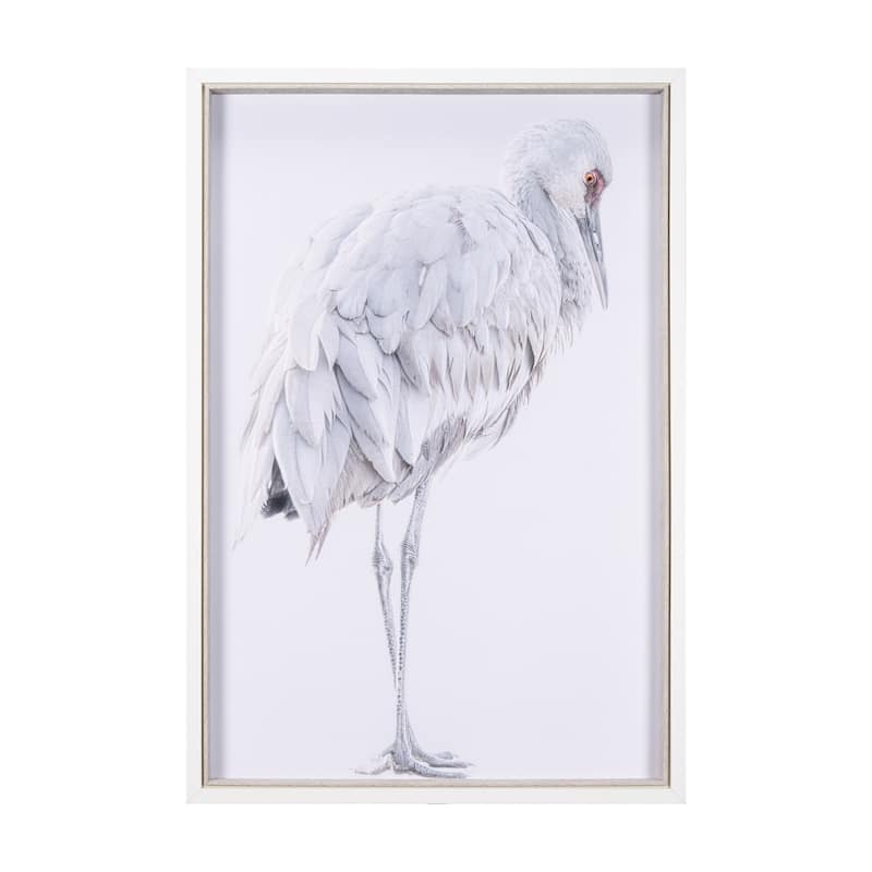 Sandhill Crane II
