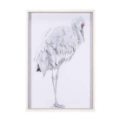 Sandhill Crane II