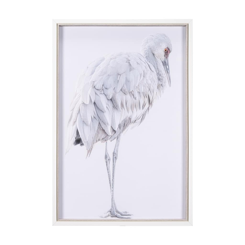 Sandhill Crane II