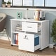 preview thumbnail 16 of 17, Mobile Lateral File Pedesta, 2 Drawer File Cabinet with Lock