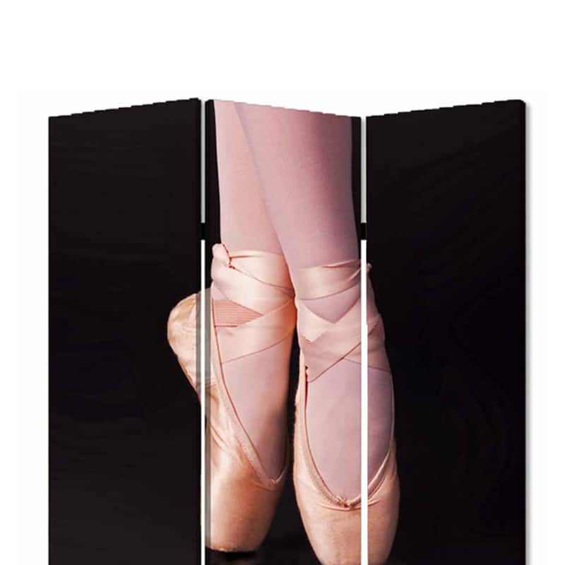 Ballet Shoe Print Foldable Canvas Screen with 3 Panels, Black and Pink - 6 x 12