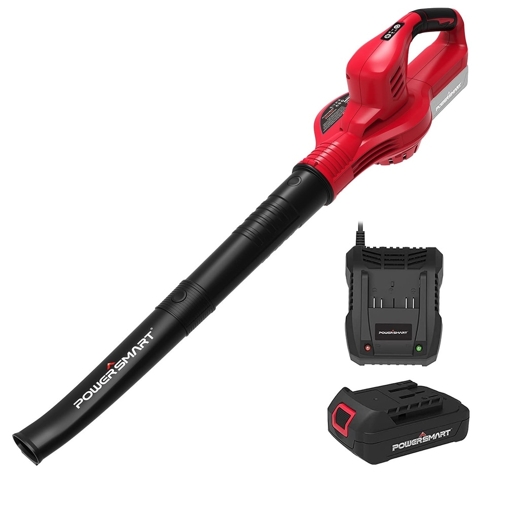 https://ak1.ostkcdn.com/images/products/is/images/direct/44bf3b12958e23aa2c9a704a4eb3884a64007b18/Cordless-Leaf-Blower-with-Battery-and-Charger%2C-20V-150-MPH-Lightweight-Blower-for-Lawn-Care%2C-Patio%2C-Driveway.jpg