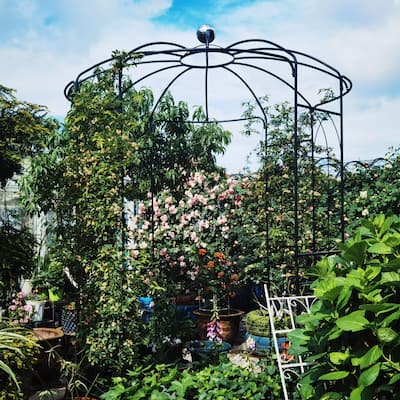 81.3'' x 114.2'' Black Metal Garden Arch Arbors Plant Climbing Frame