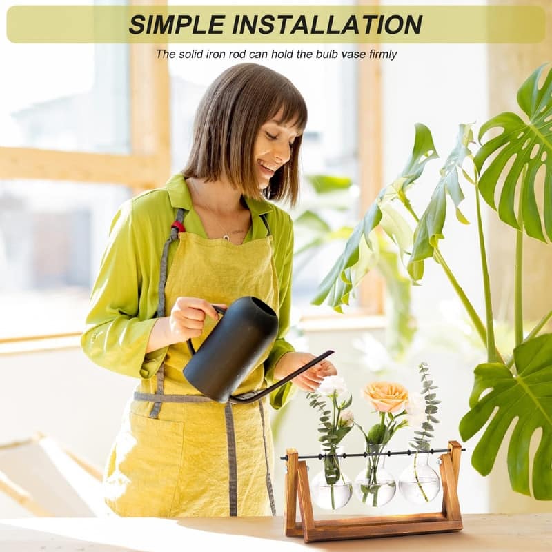 Plant Terrarium with Wooden Stand - 11"L x 4"W x 5.5"H