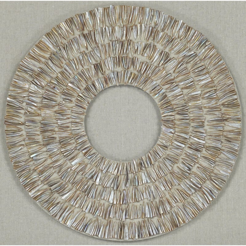 HUJI Pearl Oyster Shell Shadow Box Wall Decor