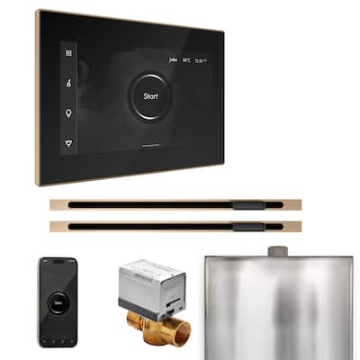 Mr Steam BXXL Xbutler Max Linear Package Steam Shower Control Package