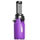 preview thumbnail 28 of 53, Ventray Essential Ginnie Juicer, Compact & Slow, Nutrient Dense Small - Purple