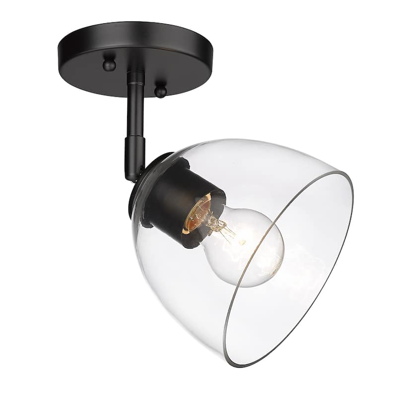 Golden Lighting Roxie 1-light Wall Sconce in Matte Black - Matte Black with Clear Glass