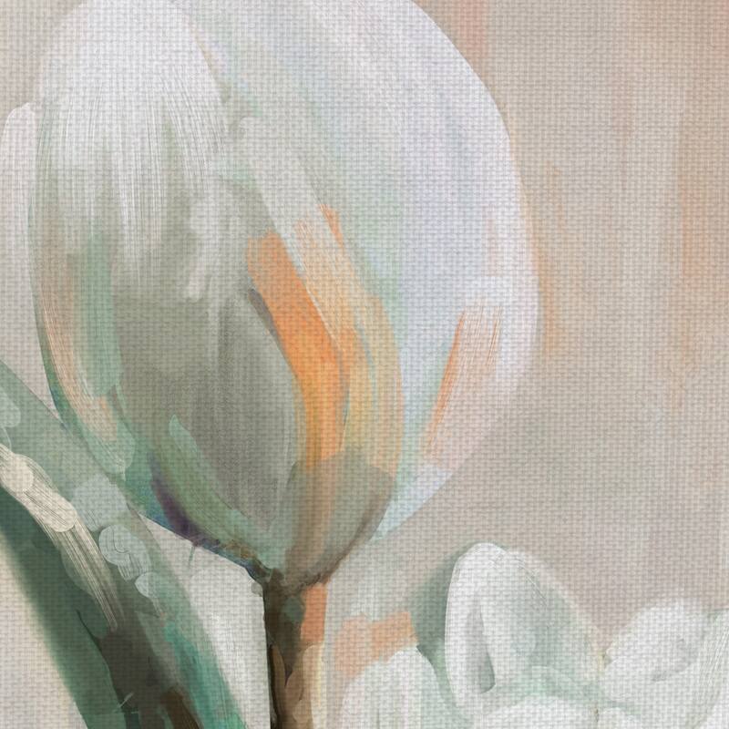 Tulip Duets I, II by Studio Arts Canvas Art Prints