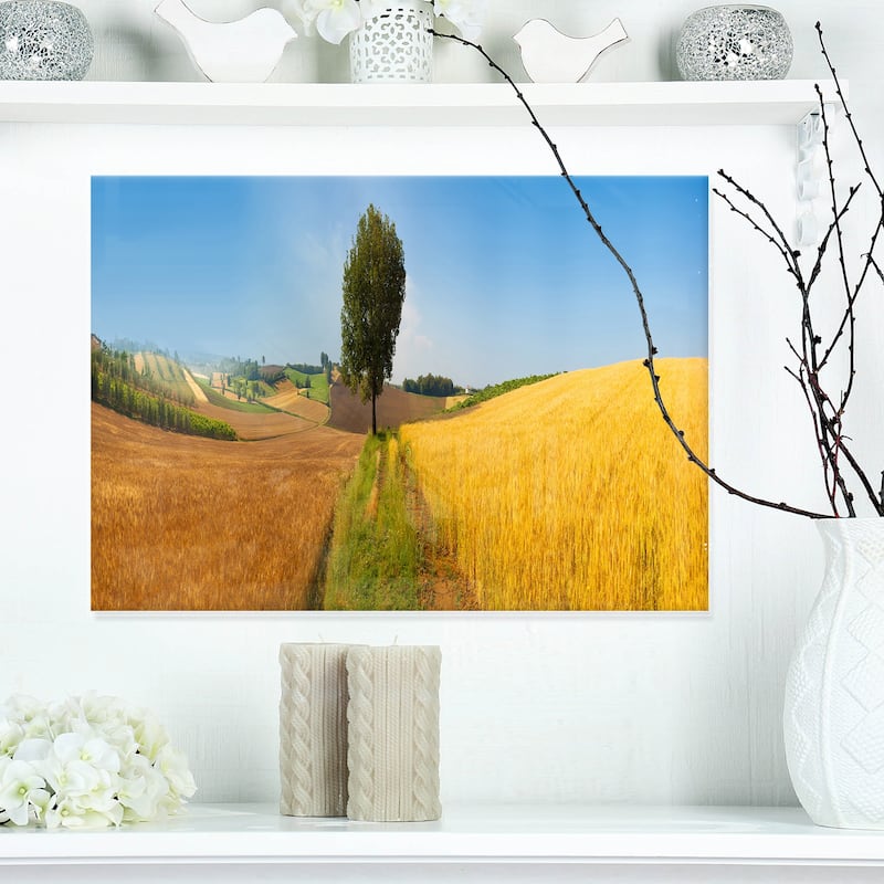 Tuscany Wheat Field Hill Panorama Landscape Glossy Metal Wall Art