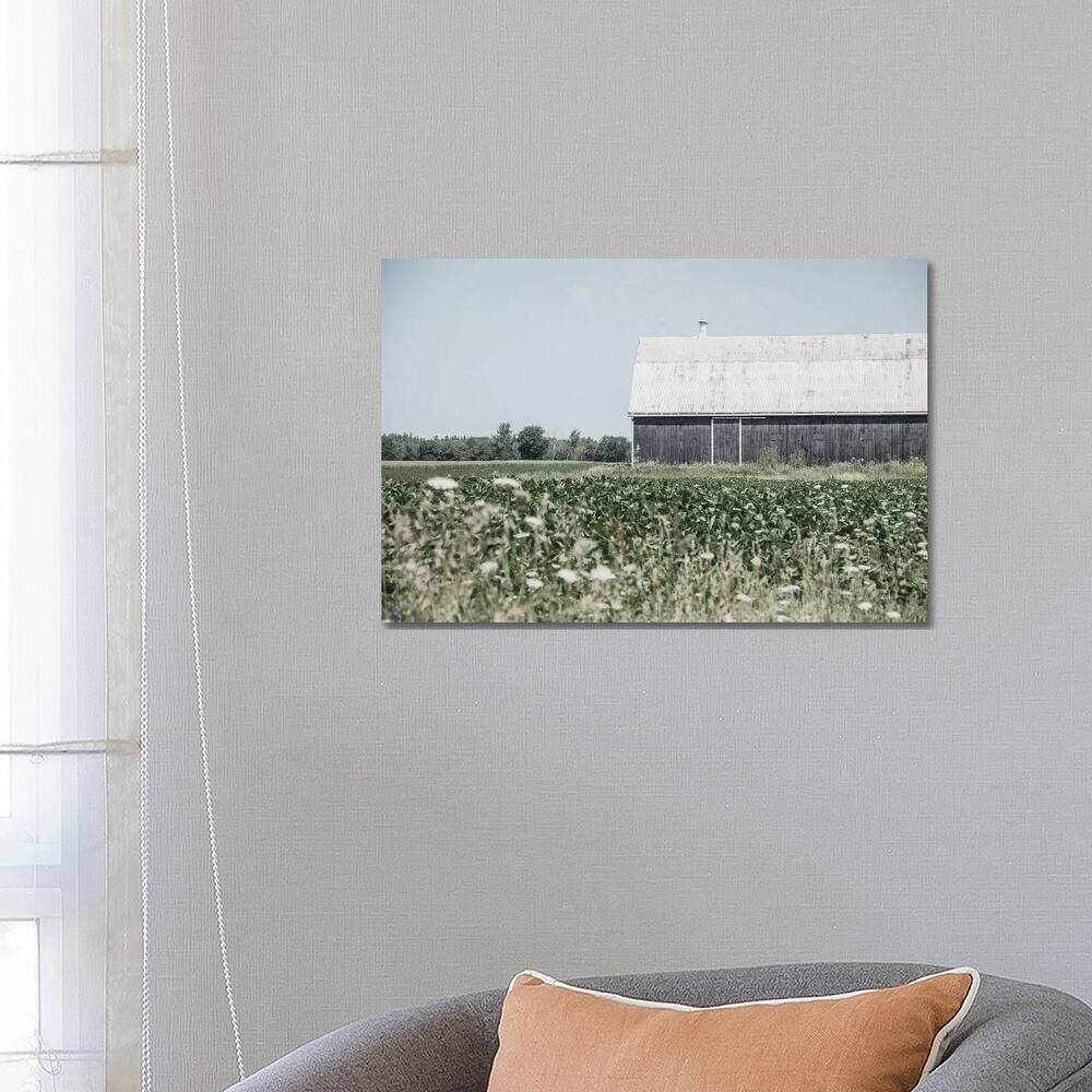 iCanvas "Weathered I" by Elizabeth Urquhart Canvas Print