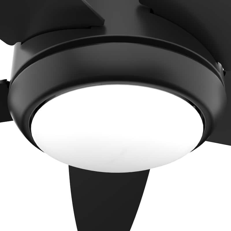 Hunter 52" Zayden Ceiling Fan with LED Light Kit and Handheld Remote - Contemporary, Transitional - Exclusive SureSpeed!