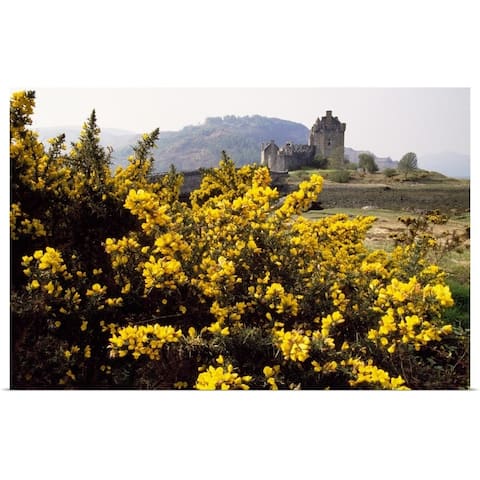 "Wildflowers in bloom, distant Eilean Donan Castle, Scotland." Poster Print - Multi