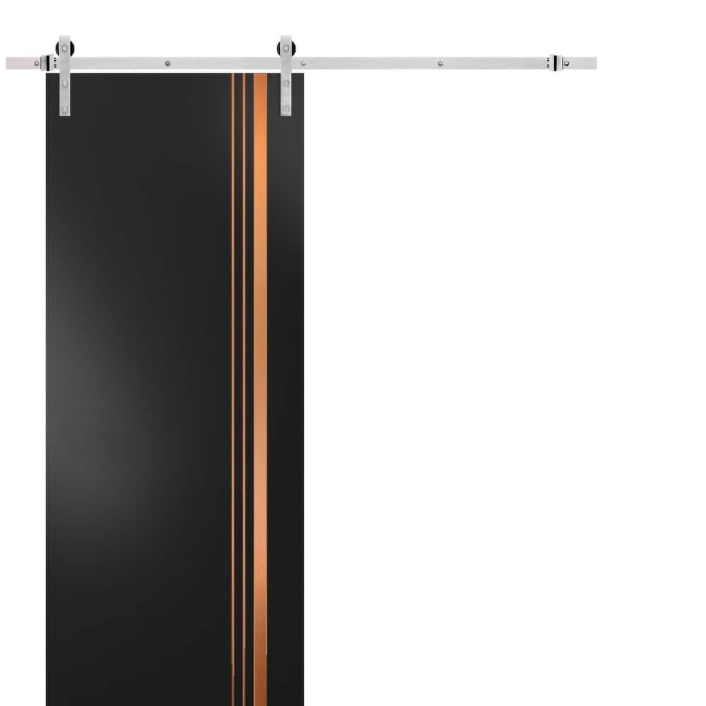 Sturdy Barn Door 18 x 80 Planum 1010 Matte Black with 6.6FT