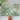 Laural Home Bohemian Palms Outdoor Door Mat