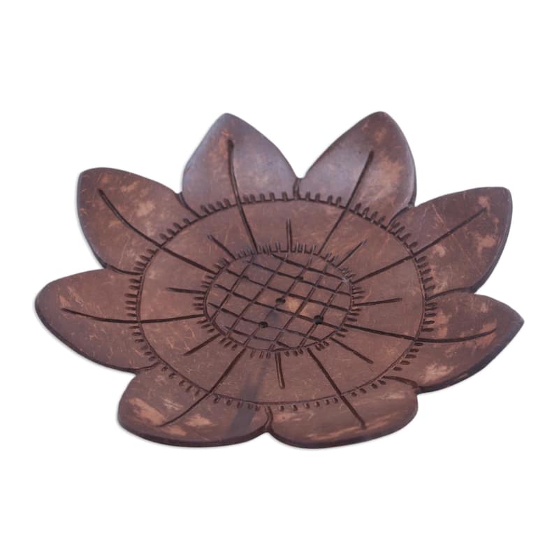 Novica Handmade South By Sunflower Coconut Shell Soap Dish - Brown