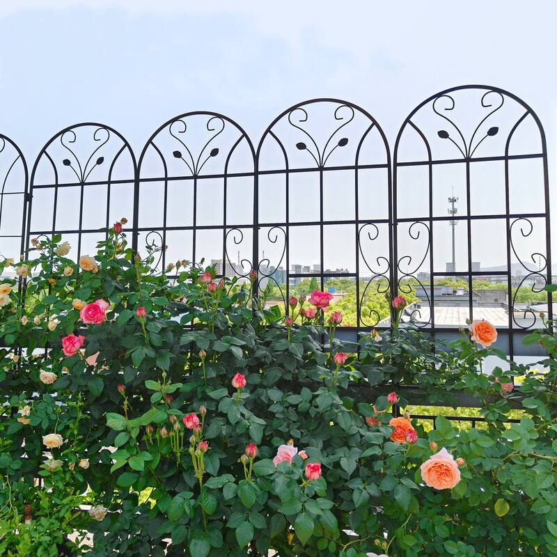4 Pack Metal Garden Trellis 86.7in x 19.7in Rustproof Trellis