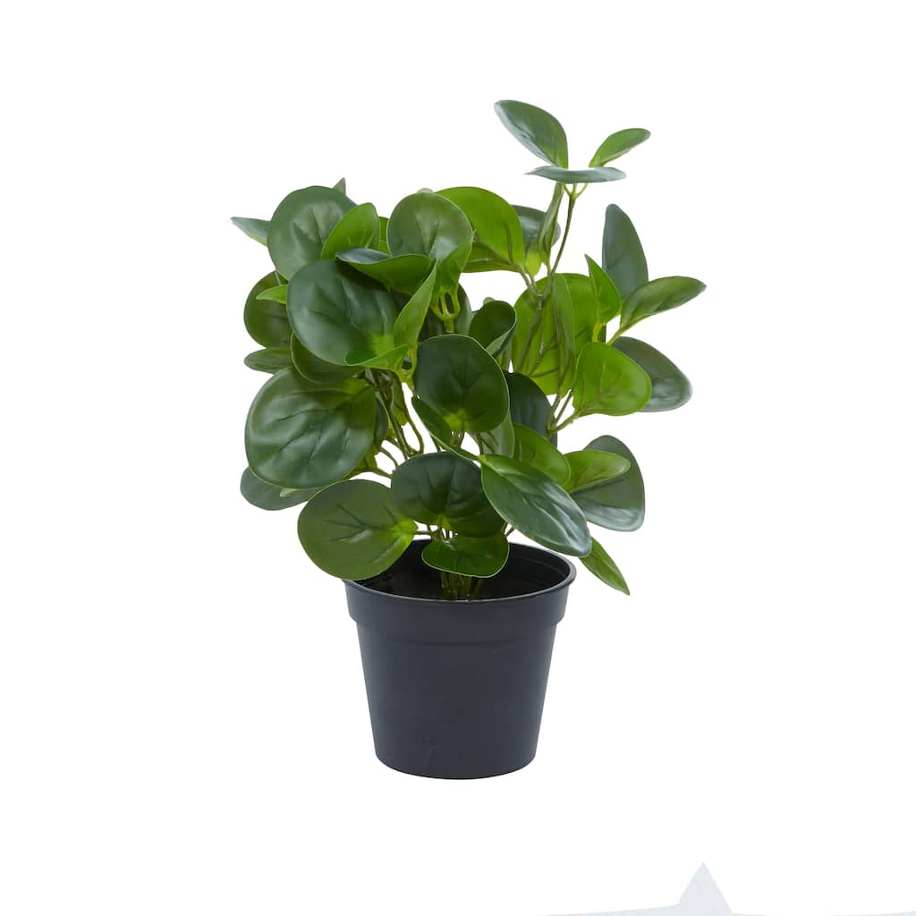 Faux Foliage Eucalyptus Artificial Plant with Realistic Leaves and Black Round Pot - Green - Roche River Decor