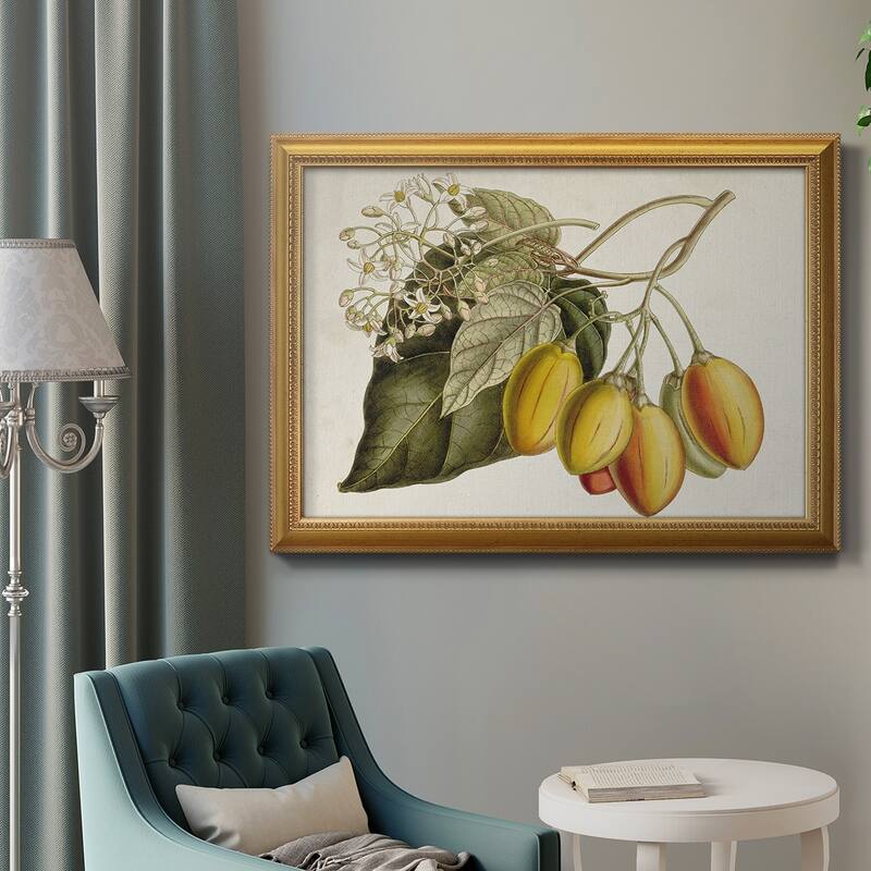 Tropical Foliage & Fruit IV Premium Framed Canvas- Ready to Hang