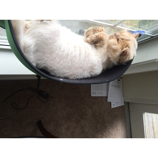 Top Product Reviews For K H Pet Products Ez Mount Window Cat Bed